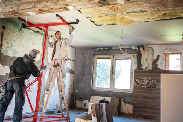 Best Insulation for Commercial Buildings  in Homeland Park, SC
