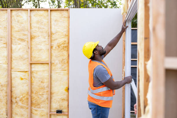 Best Blown-in Insulation  in Homeland Park, SC