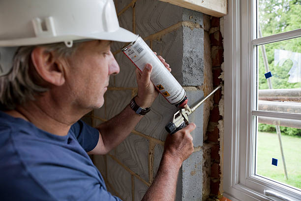 Best Home Insulation Services  in Homeland Park, SC