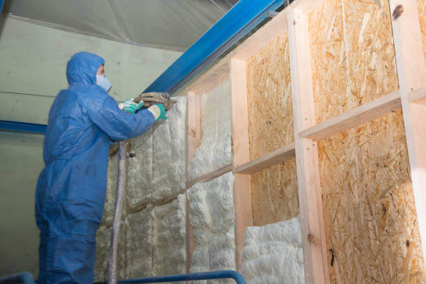 Best Insulation for New Construction  in Homeland Park, SC
